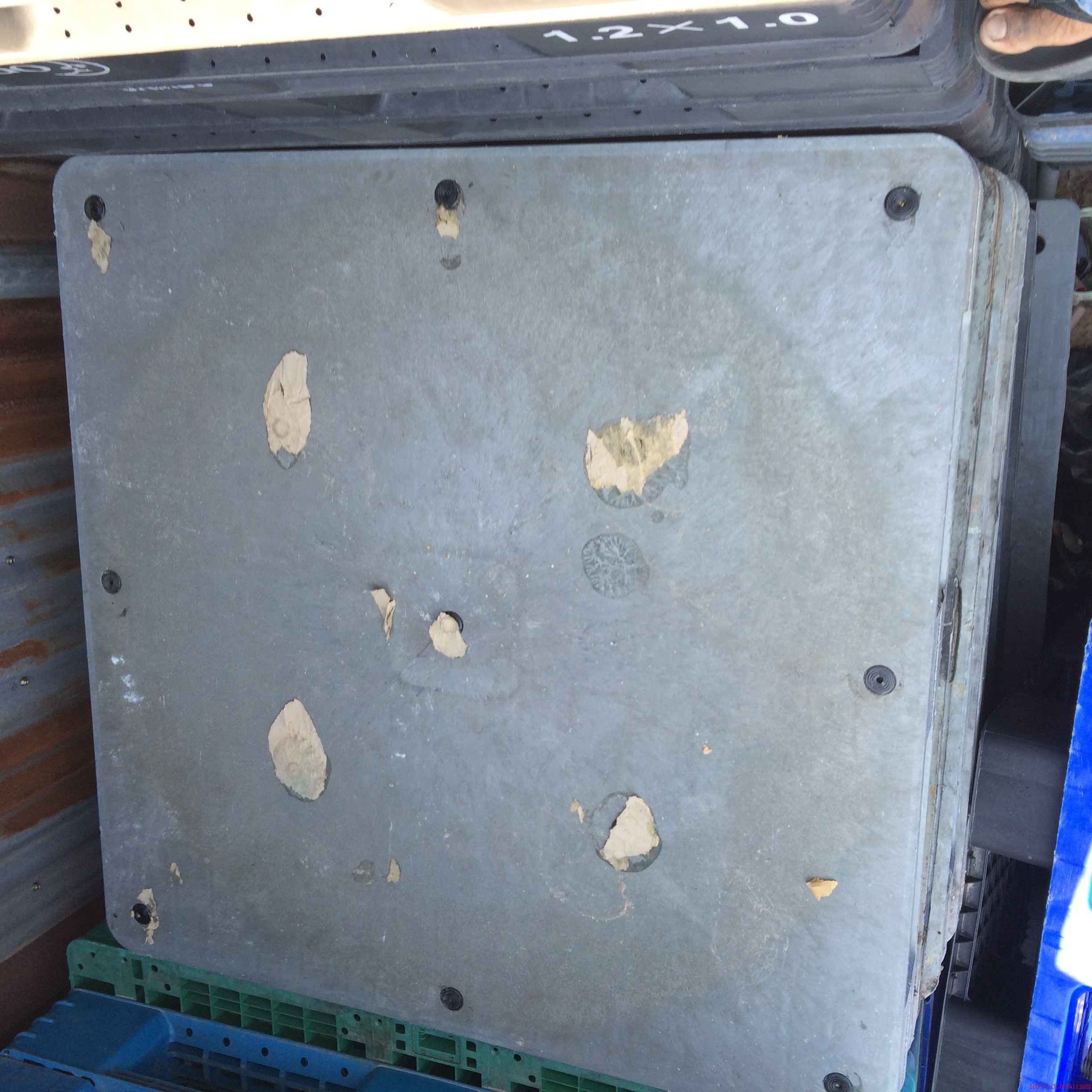 Pallet nhựa PL 36
