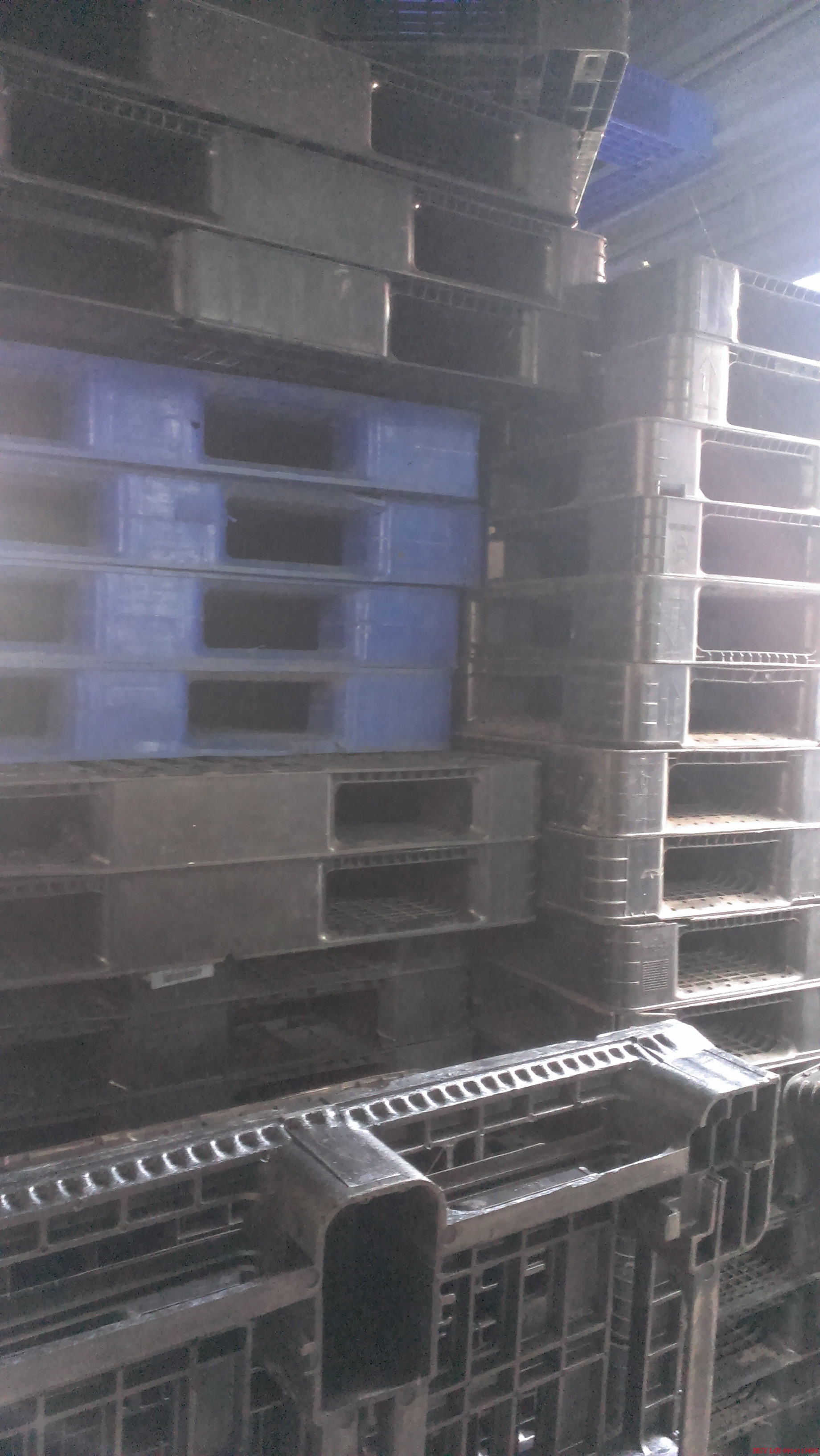 Pallet nhựa PL 16