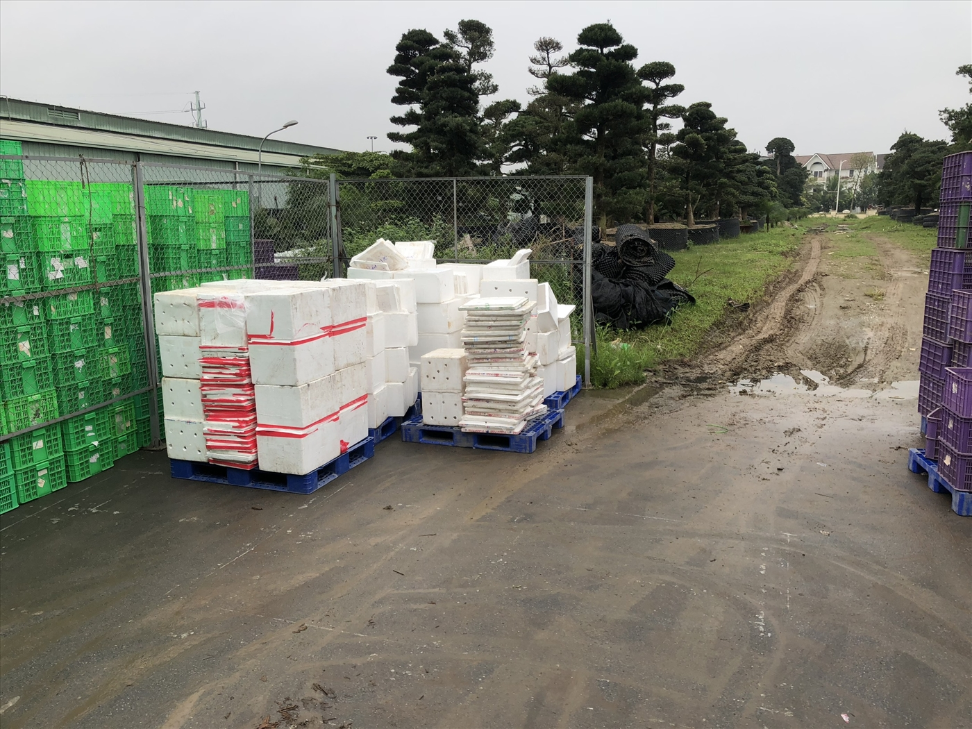 Những điều cần biết về pallet nhựa chịu lực